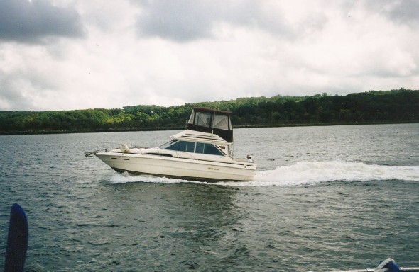34 Searay